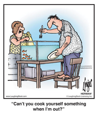 Can’t you cook yourself something when I’m out?