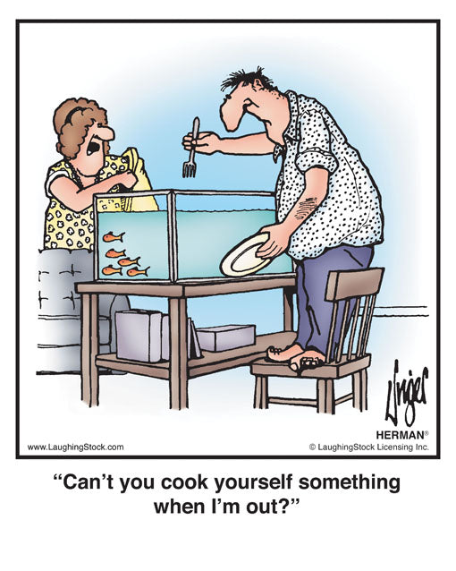 Can’t you cook yourself something when I’m out?