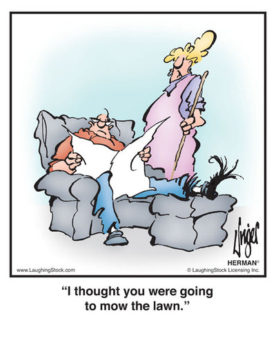 I thought you were going to mow the lawn.