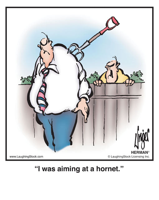 I was aiming at a hornet.