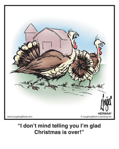 I don’t mind telling you I’m glad Christmas is over!