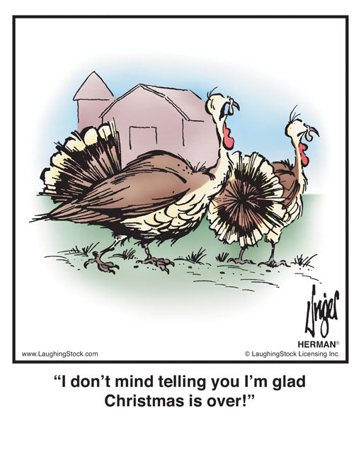 I don’t mind telling you I’m glad Christmas is over!