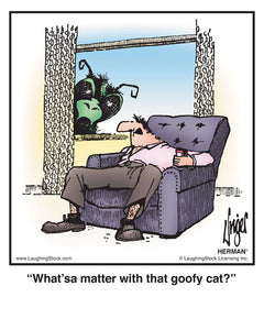 What’sa matter with that goofy cat?