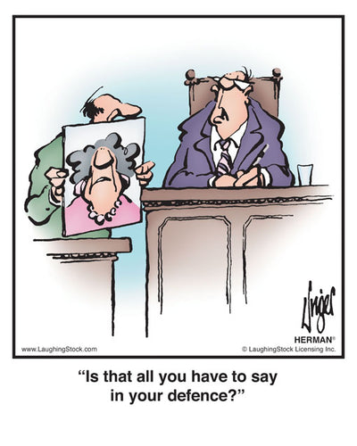 Is that all you have to say in your defence?