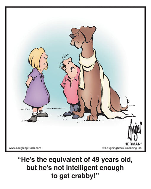 He’s the equivalent of 49 years old, but he’s not intelligent enough to get crabby!