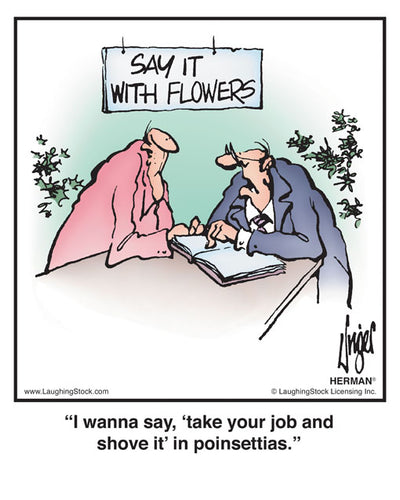 I wanna say, ‘take your job and shove it’ in poinsettias.