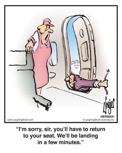 I’m sorry, sir, you’ll have to return to your seat. We’ll be landing in a few minutes.