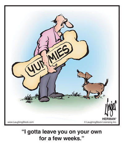 I gotta leave you on your own for a few weeks.