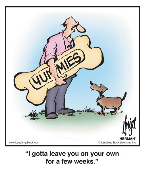 I gotta leave you on your own for a few weeks.