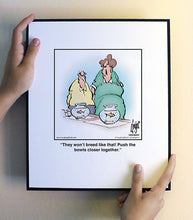 Load image into Gallery viewer, They won’t breed like that! Push the bowls closer together.