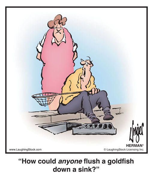 How could anyone flush a goldfish down a sink?