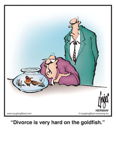 Divorce is very hard on the goldfish.