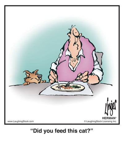 Did you feed this cat?