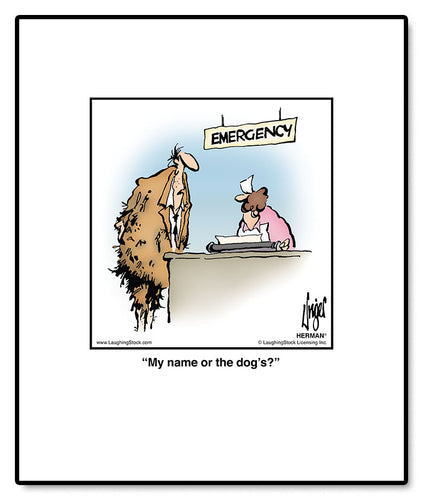 My name or the dog’s?