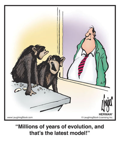 Millions of years of evolution, and that’s the latest model!