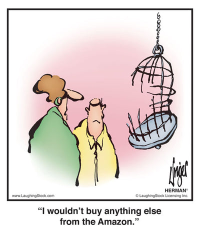 I wouldn’t buy anything else from the Amazon.