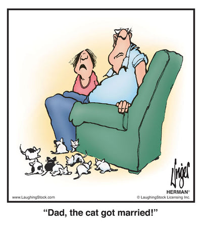 Dad, the cat got married!