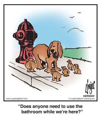 Does anyone need to use the bathroom while we’re here?