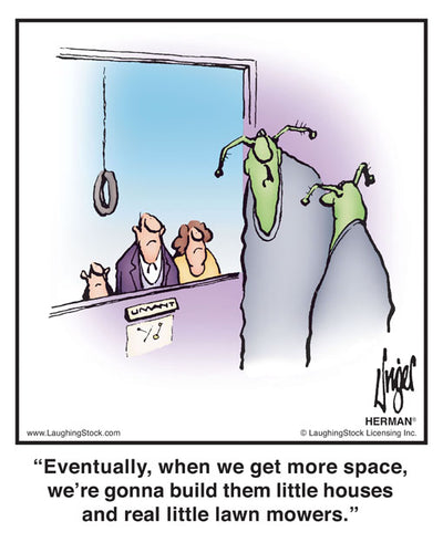 Eventually, when we get more space, we’re gonna build them little houses and real little lawn mowers.