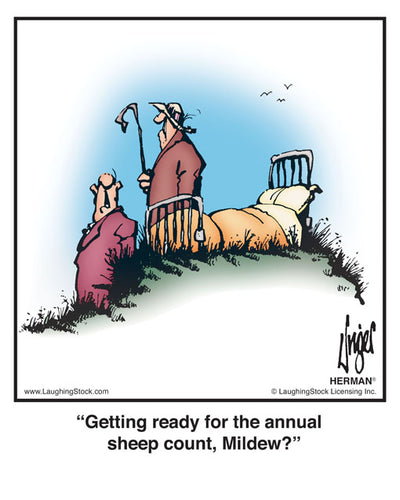Getting ready for the annual sheep count, Mildew?