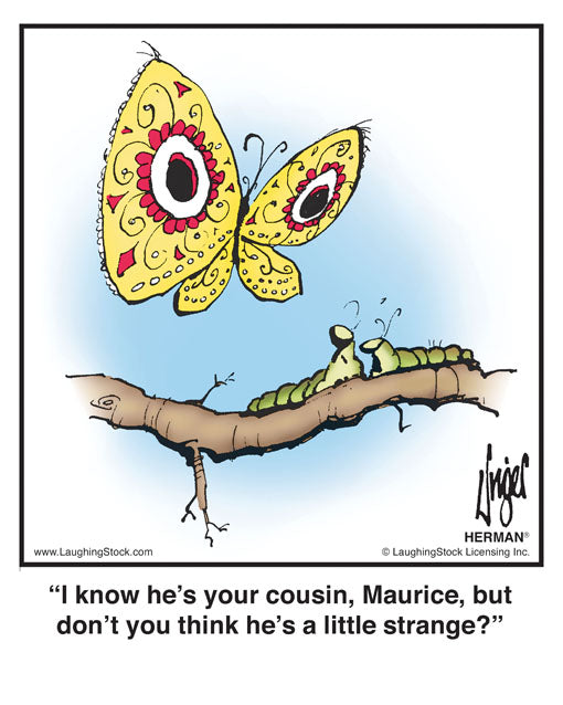 I know he’s your cousin, Maurice, but don’t you think he’s a little strange?
