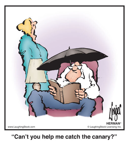 Can’t you help me catch the canary?