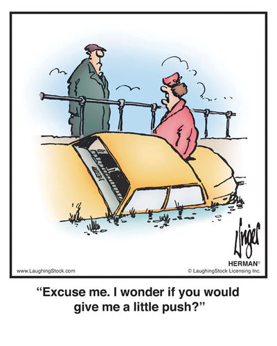 Excuse me. I wonder if you would give me a little push?