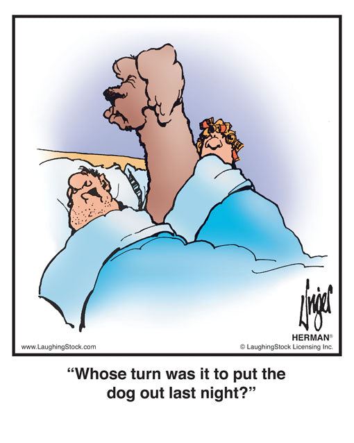 Whose turn was it to put the dog out last night?