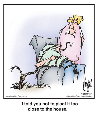 I told you not to plant it too close to the house.