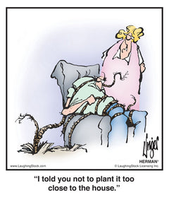 I told you not to plant it too close to the house.