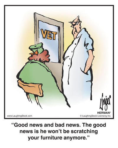 Good news and bad news. The good news is he won’t be scratching your furniture anymore.