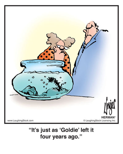 It’s just as ‘Goldie’ left it four years ago.