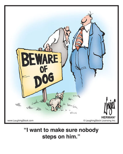 I want to make sure nobody steps on him.