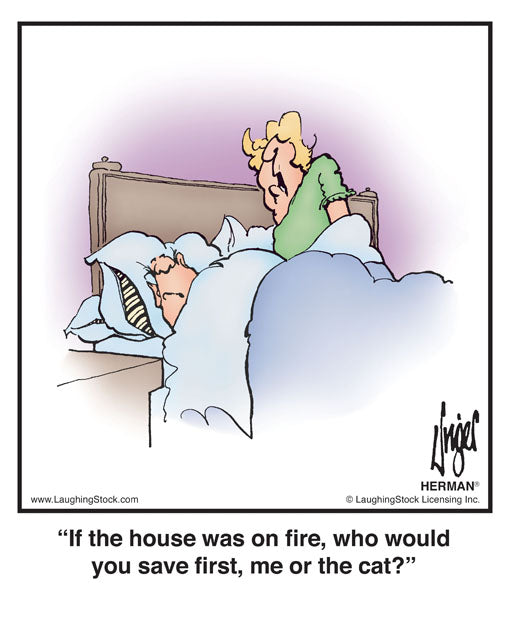 If the house was on fire, who would you save first, me or the cat?