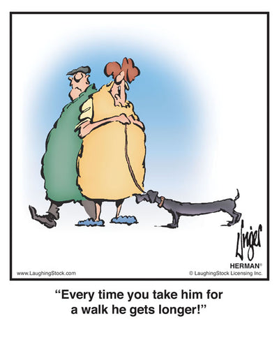 Every time you take him for a walk he gets longer!