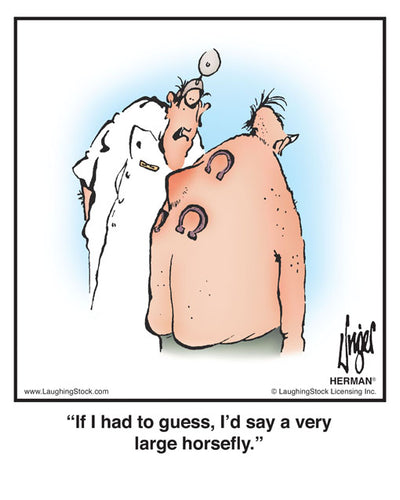 If I had to guess, I’d say a very large horsefly.