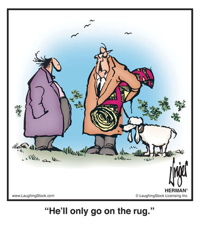 He’ll only go on the rug.