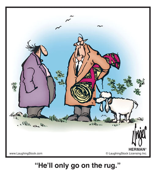 He’ll only go on the rug.