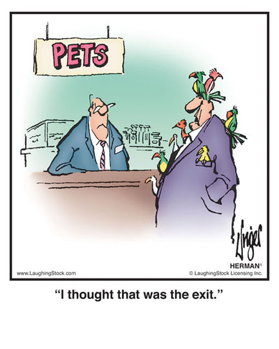 I thought that was the exit.