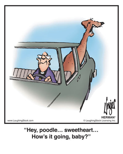 Hey, poodle… sweetheart… How’s it going, baby?