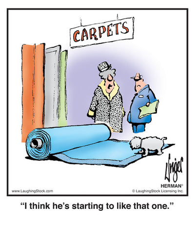 I think he’s starting to like that one.