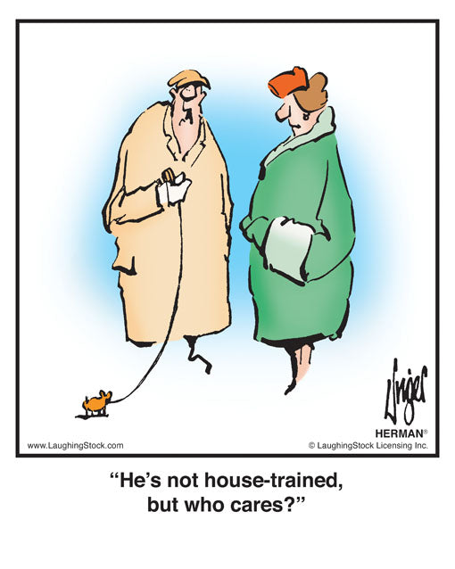He’s not house-trained, but who cares?