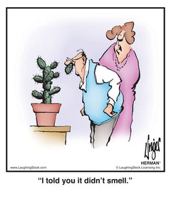 I told you it didn’t smell.