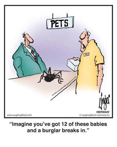 Imagine you’ve got 12 of these babies and a burglar breaks in.