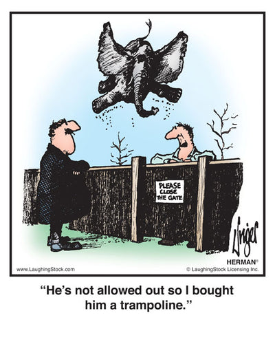 He’s not allowed out so I bought him a trampoline.