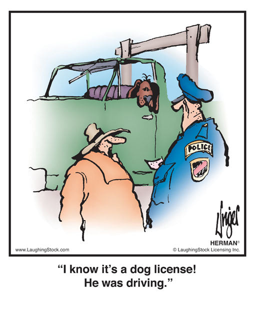I know it’s a dog license! He was driving.