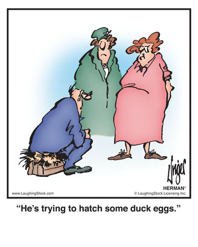 He’s trying to hatch some duck eggs.