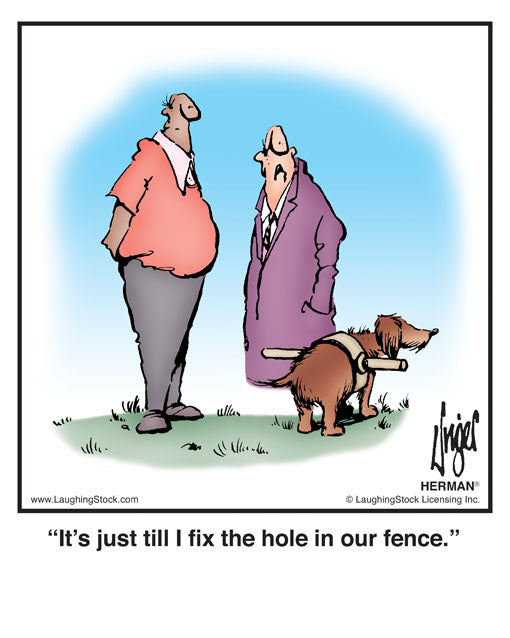 It’s just till I fix the hole in our fence.