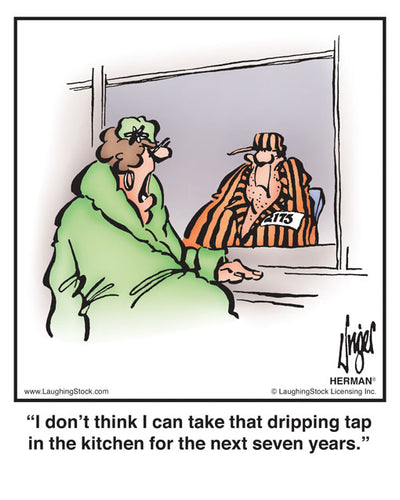 I don’t think I can take that dripping tap in the kitchen for the next seven years.