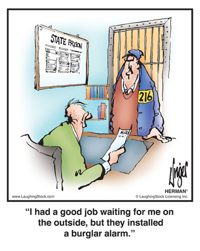 I had a good job waiting for me on the outside, but they installed a burglar alarm.